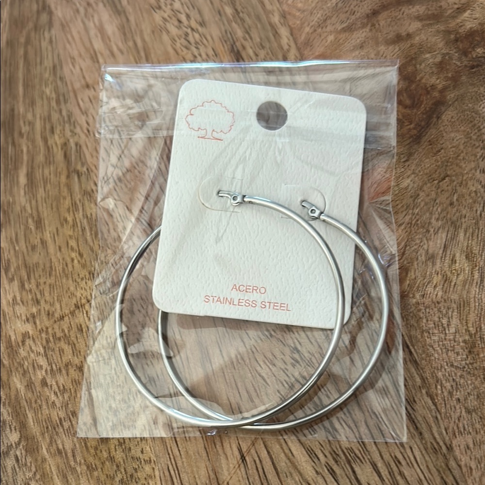 Stainless Steel Hoop Earrings